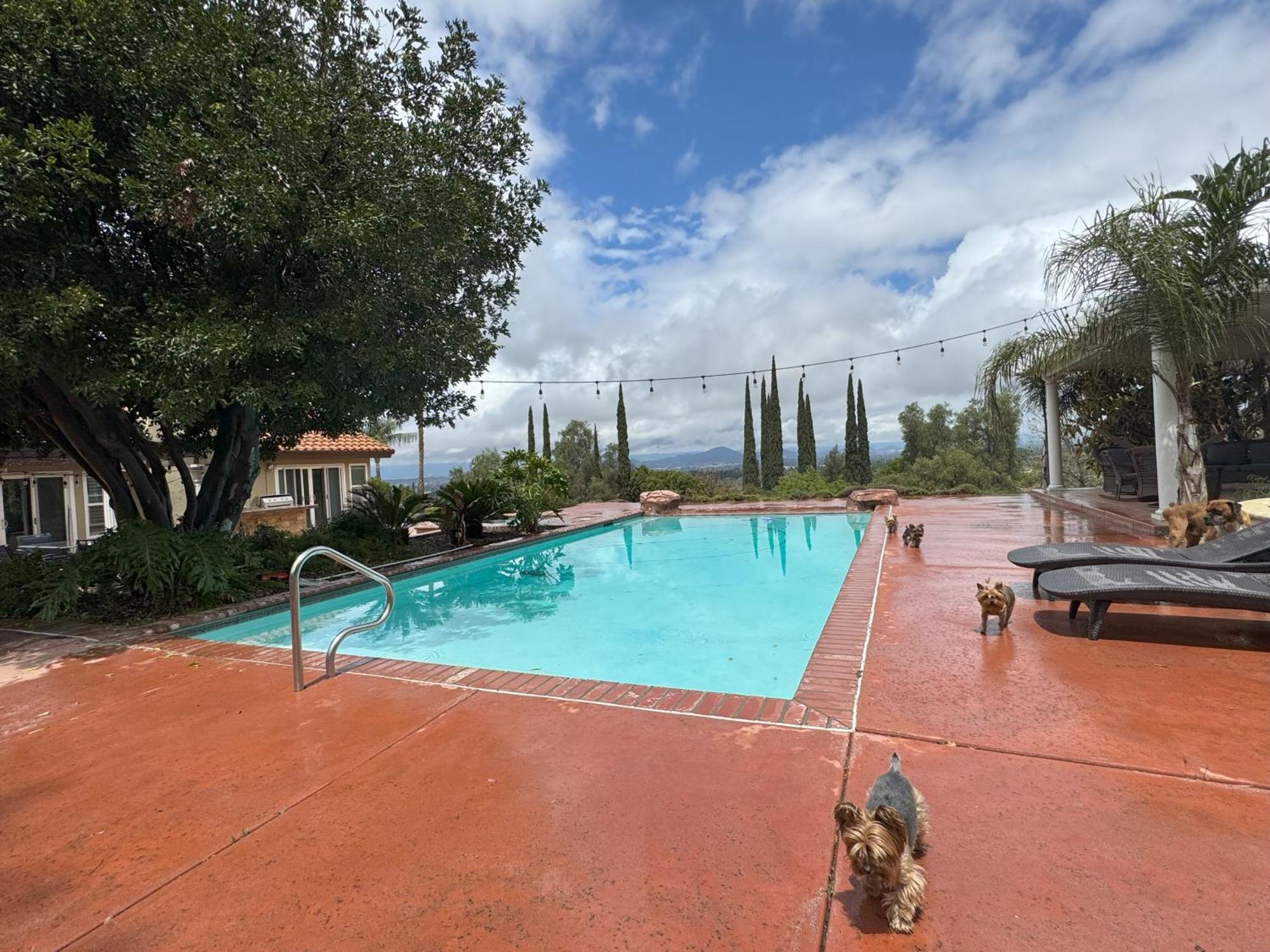 Views & Pool Retreat Riverside